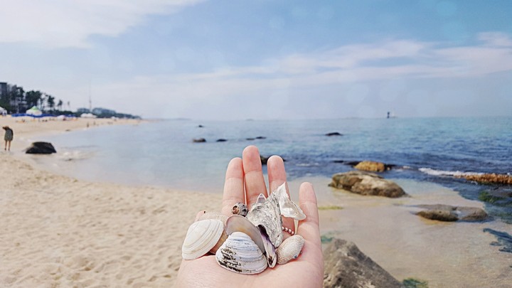 sea