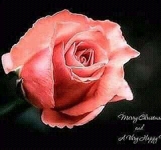 "Happy New Year 2021"