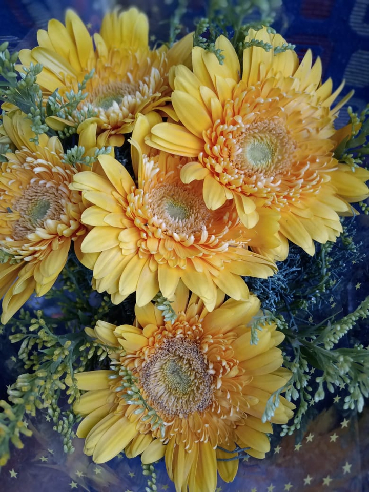 Sun flower