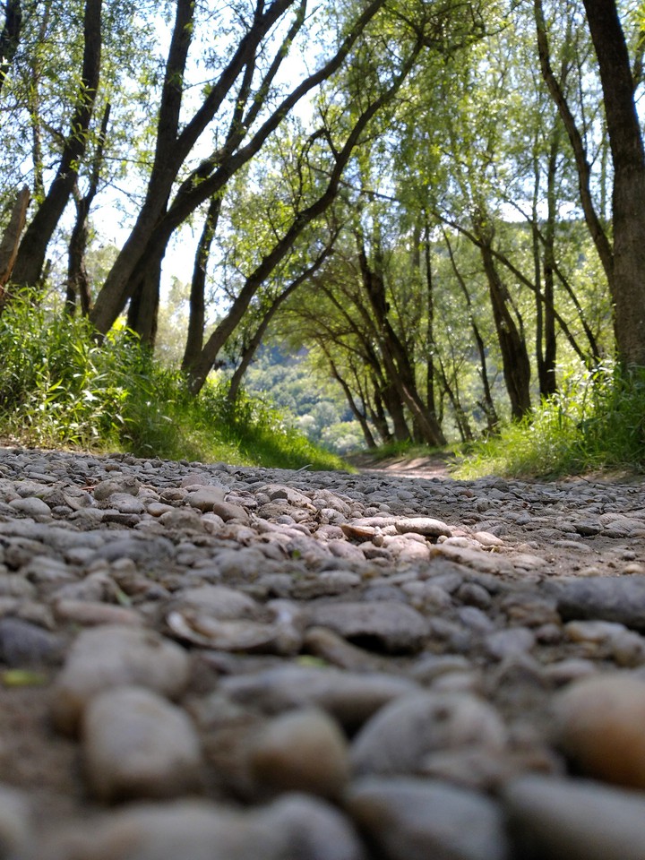 Up for a trip? Nature awaits!