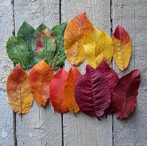 #colorful
