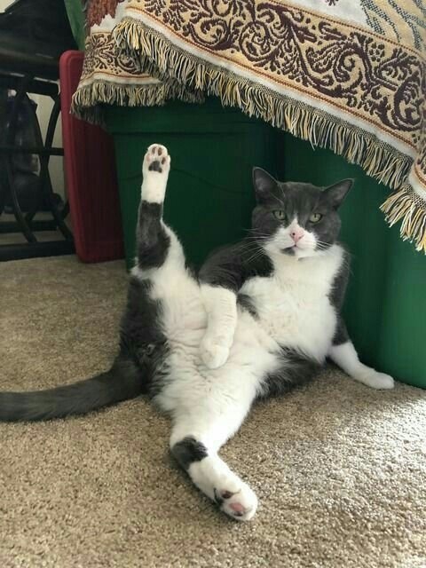 хоба