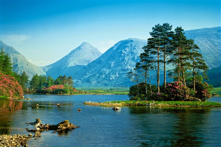 Nature