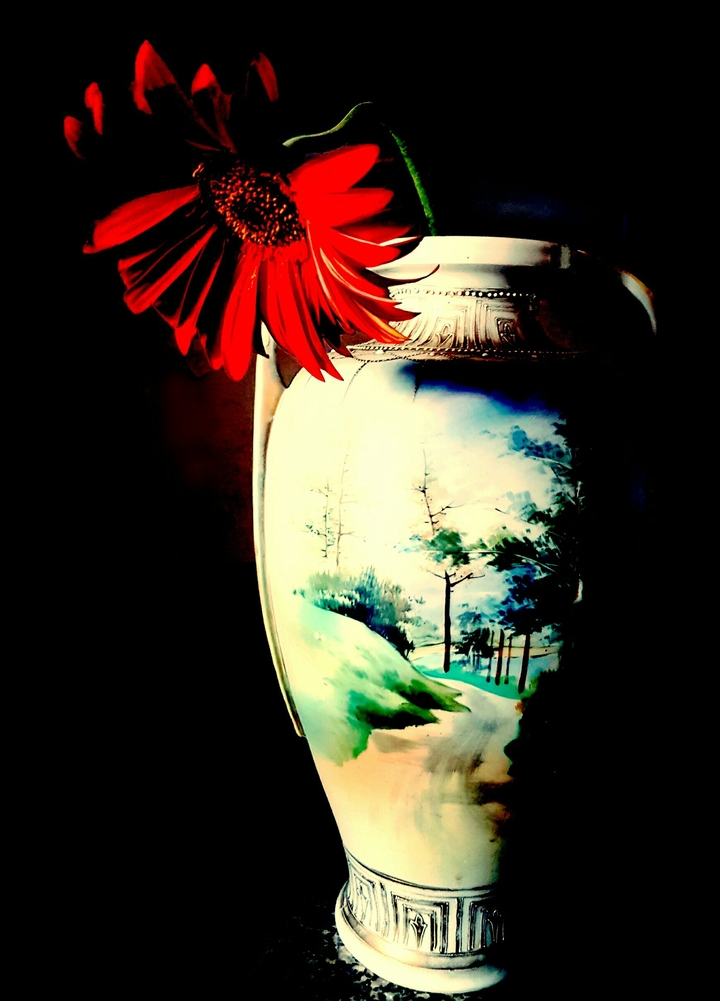 Red queen