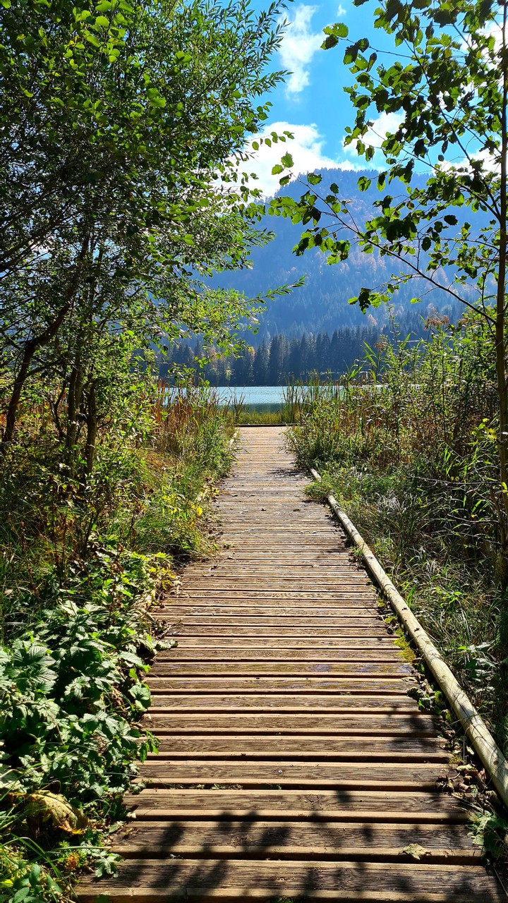 Lake Bridge