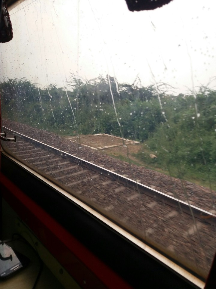rain