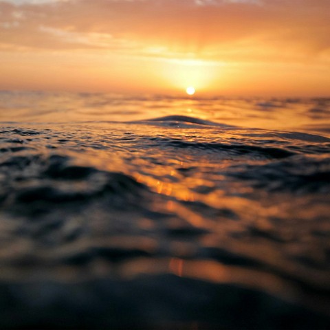 Lost at Sea