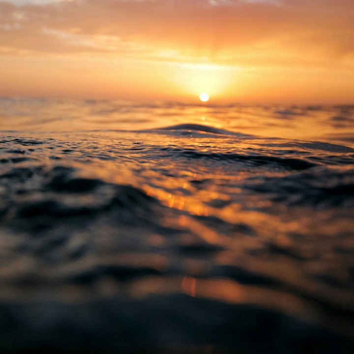 Lost at Sea