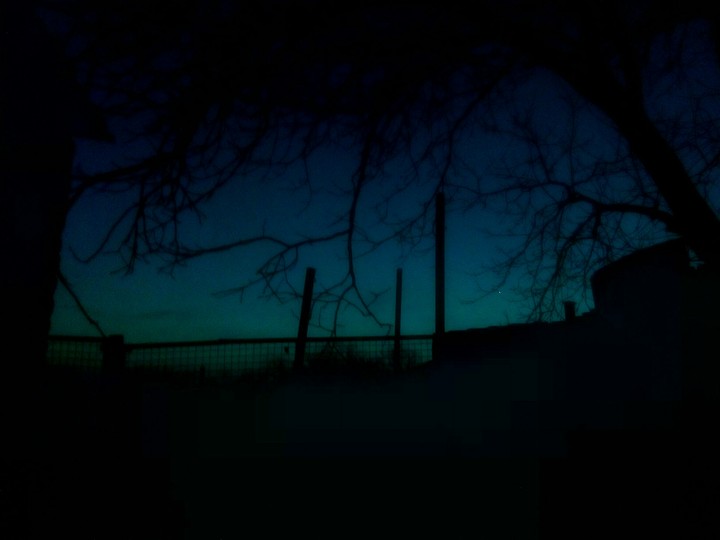 night