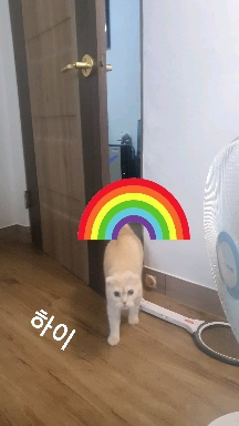 하니