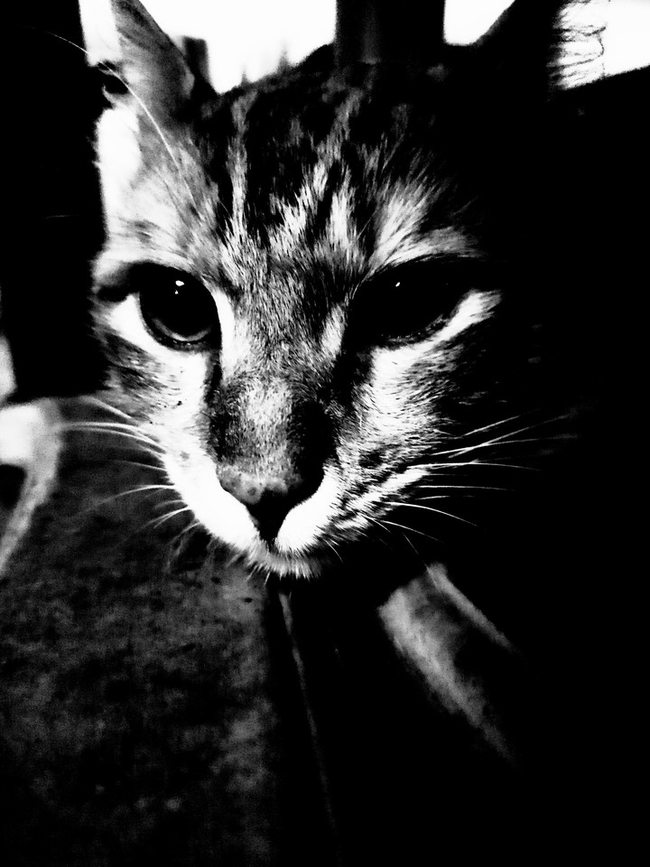 in the darkness