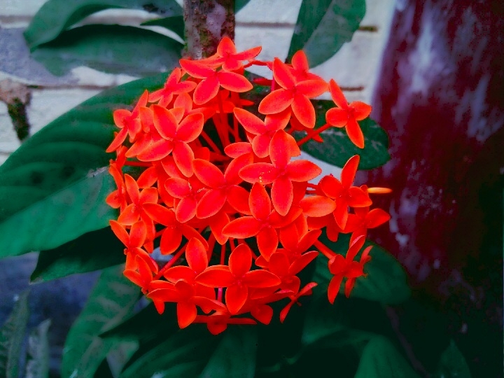 আমার