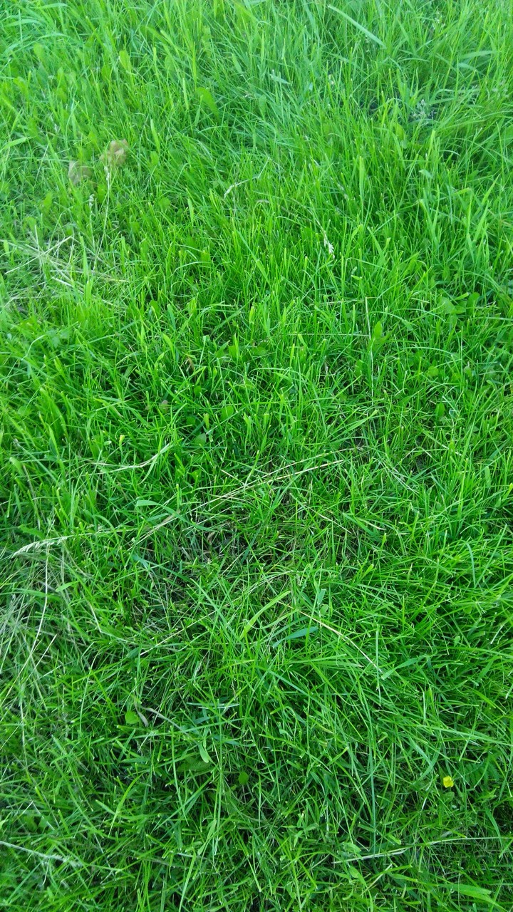 §