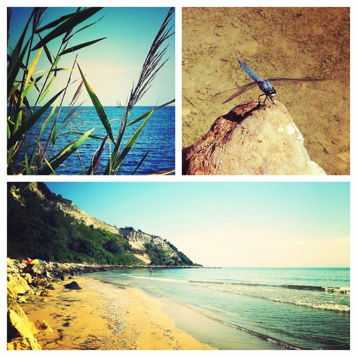 Wonderful day