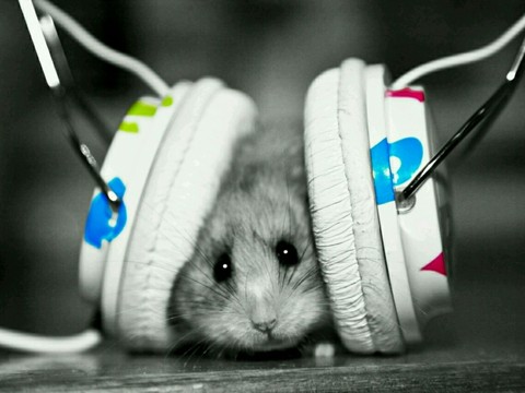 just love it..!
