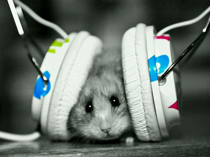 just love it..!