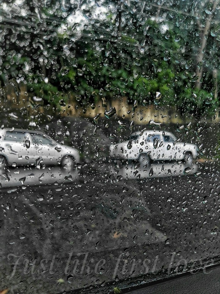 Rainy day