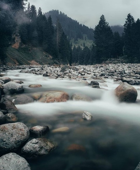 kashmir