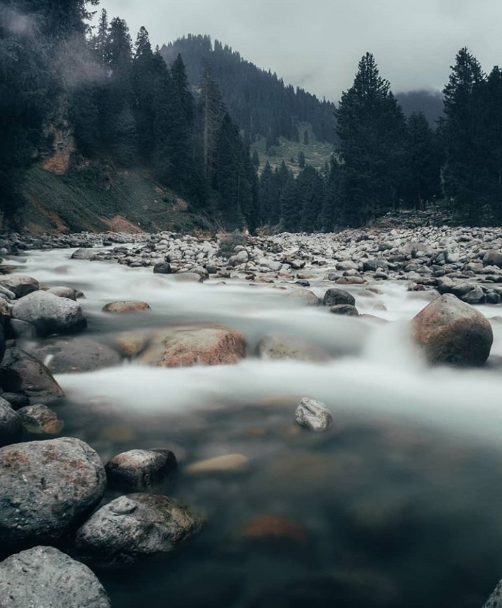 kashmir
