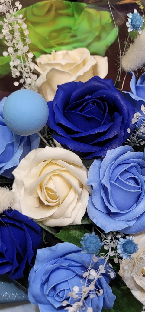 flower, Photograph wallpapers