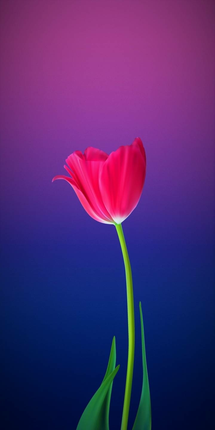 alone flower