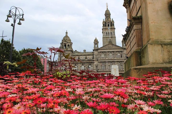 A beauty of Glasgow