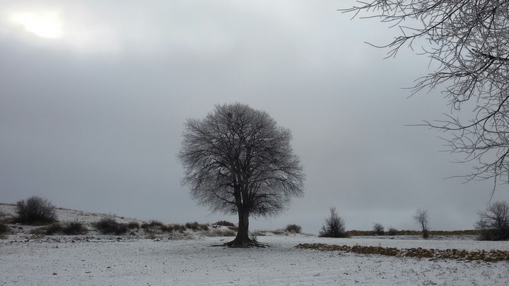 winter