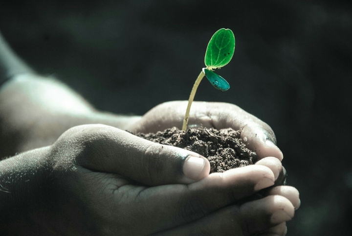 Save tree , Save earth