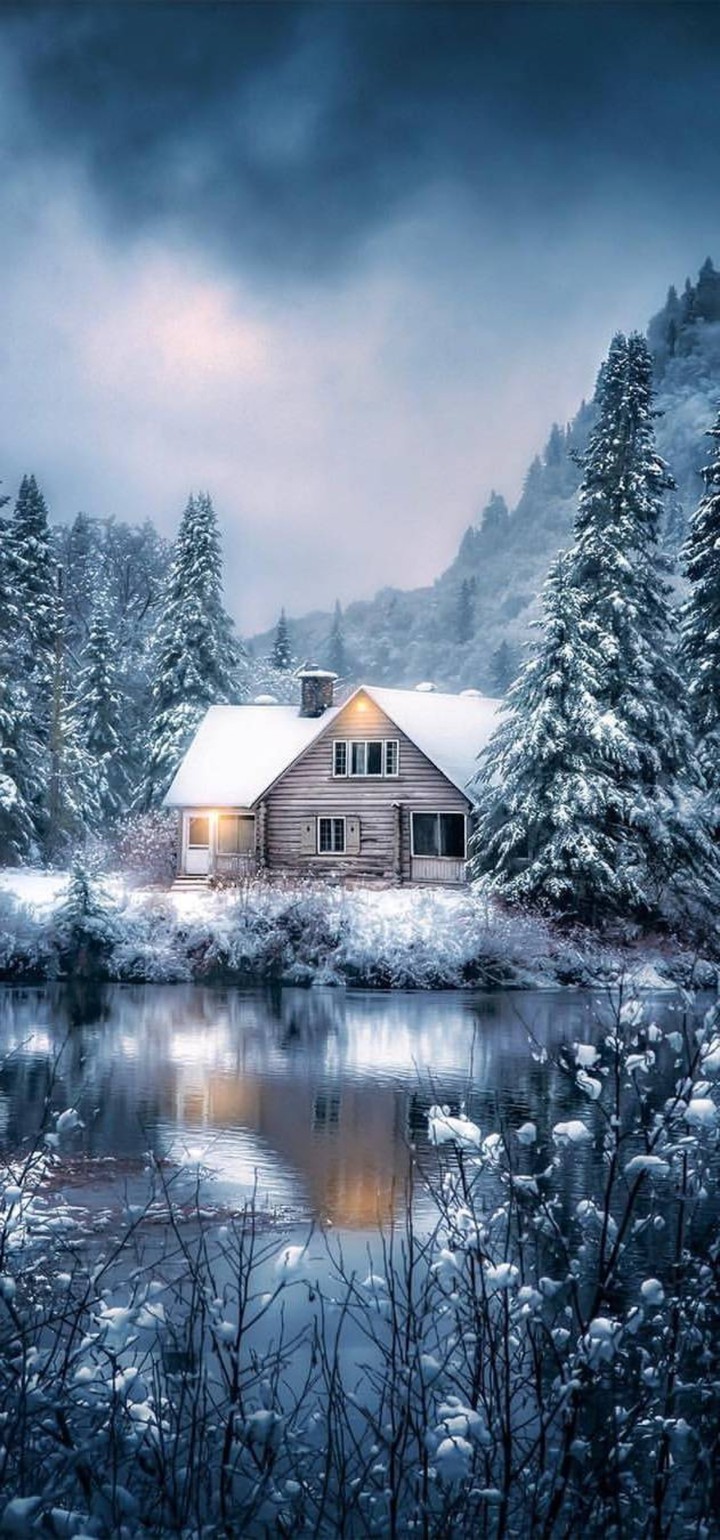 winter suttep