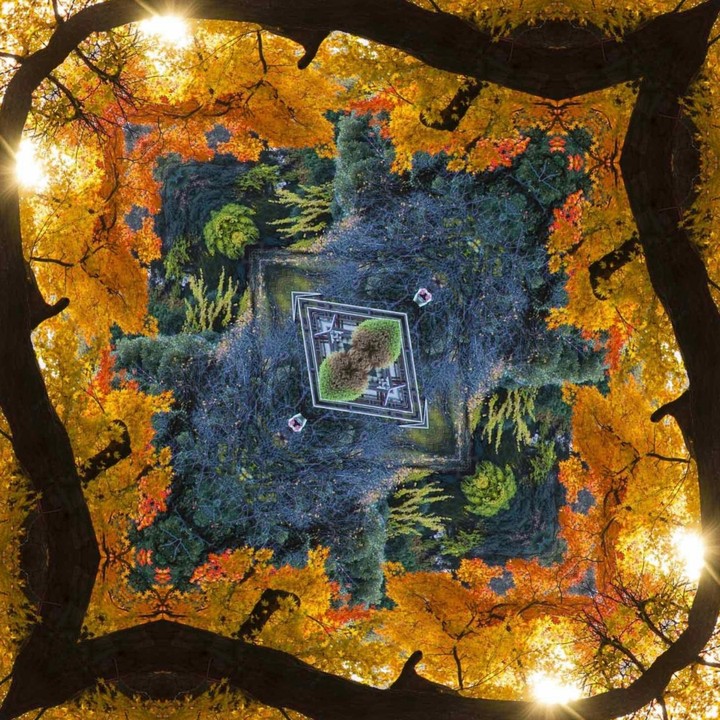 fantasia