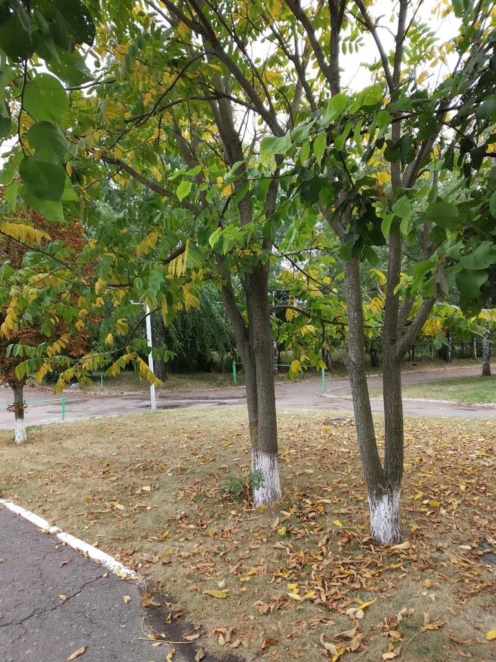 Осень