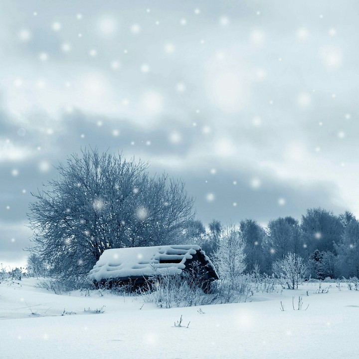 winter evening
