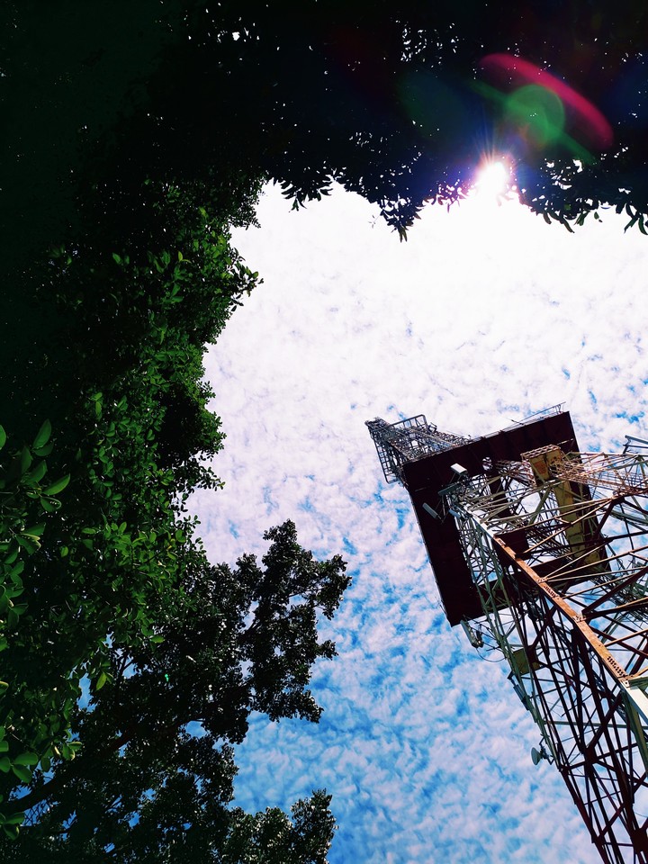 A TOWER ?