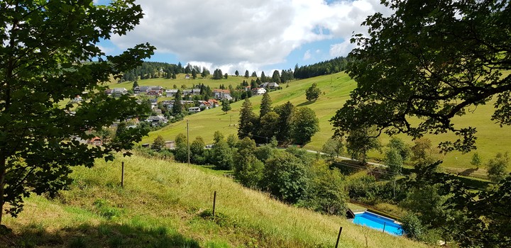 Black Forest Germany Todtnauberg  - Forest Pool