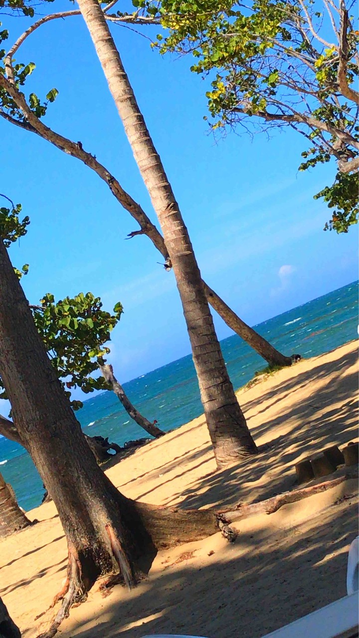 Playa ?