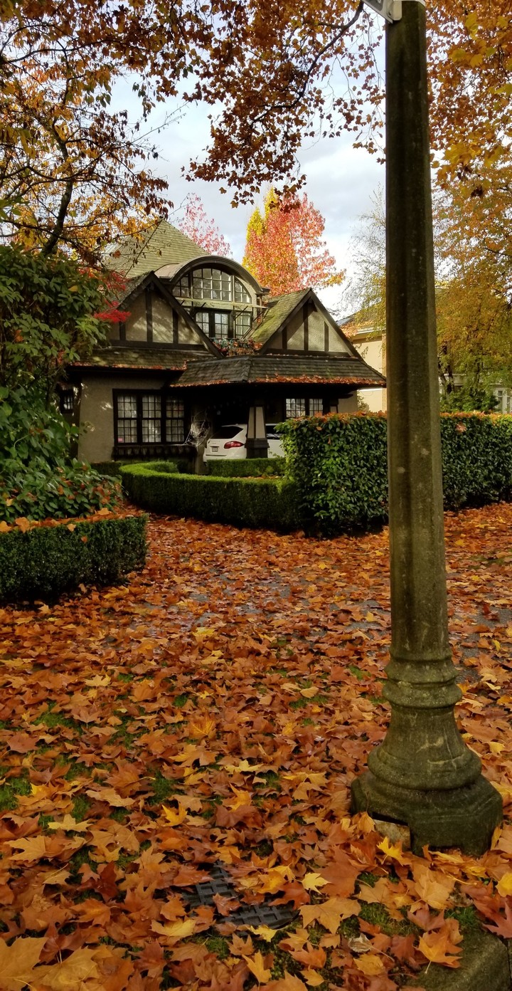 Autumn In Vancouver