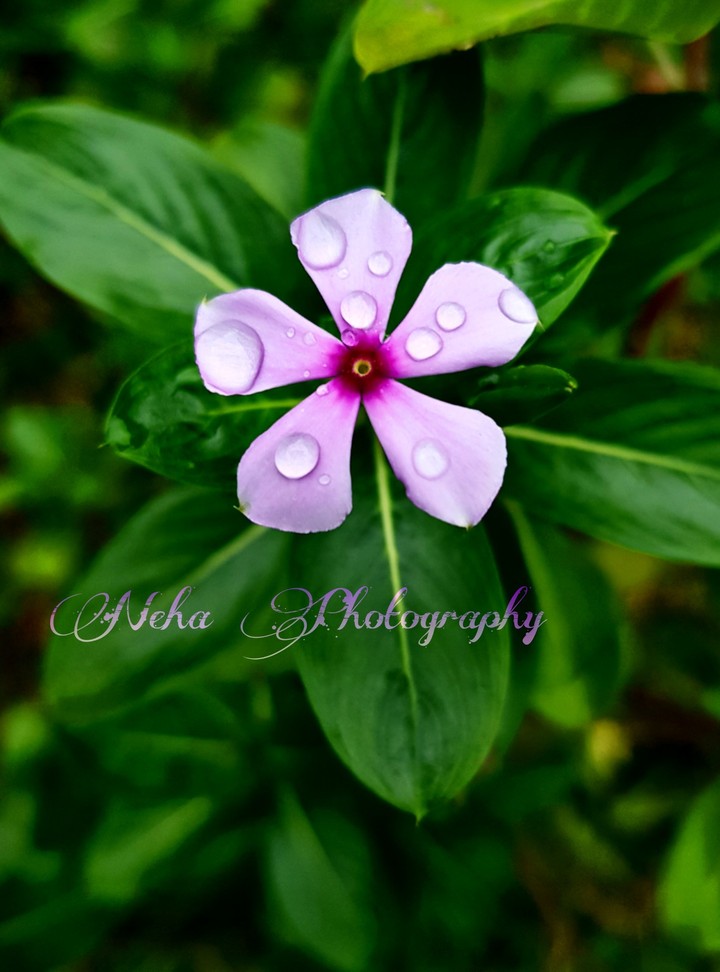 Detail Photography