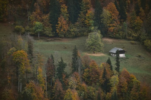 רקעים larch, hut
