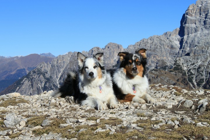 Mutter & Sohn