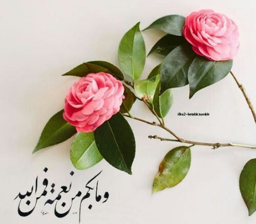 وما بكم من نعمة فمن الله