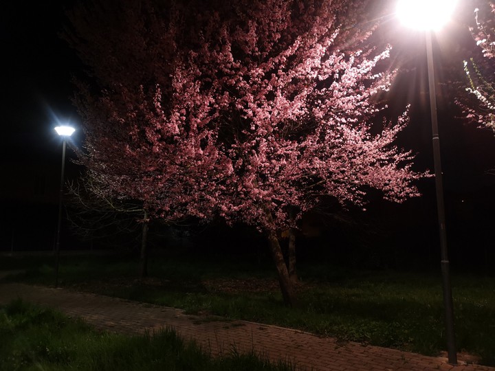 Spring is coming