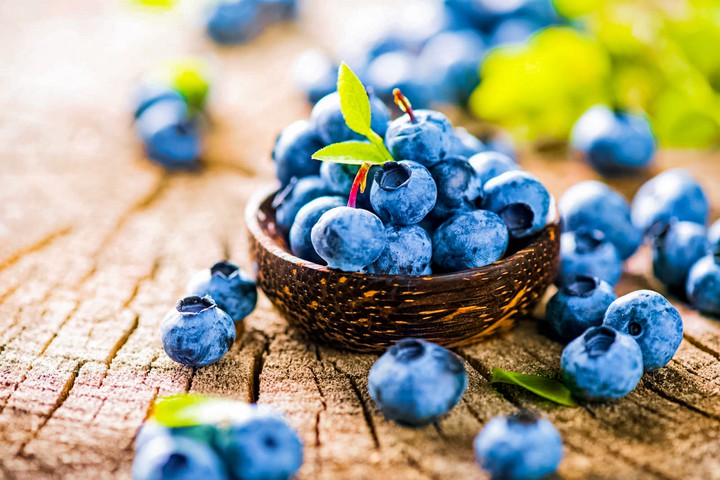 Fruits