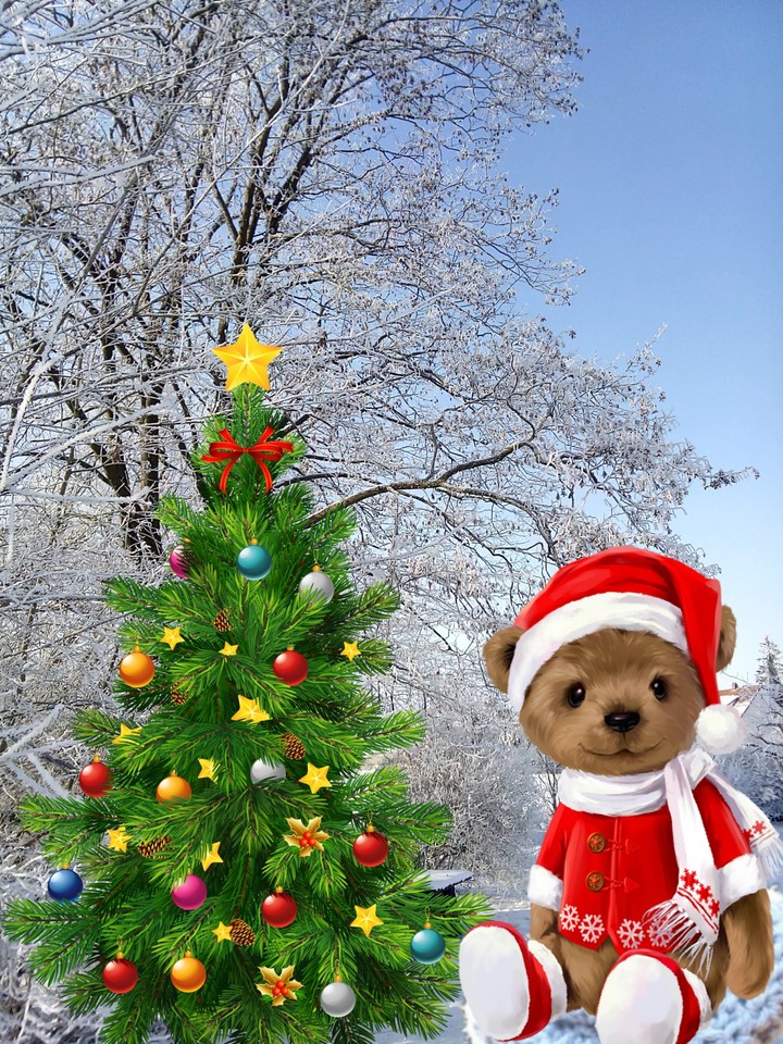 Weihnachtszeit