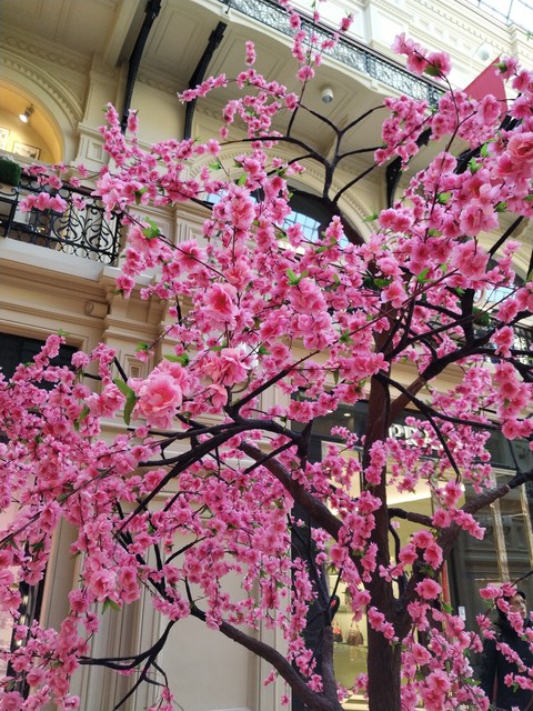 pink