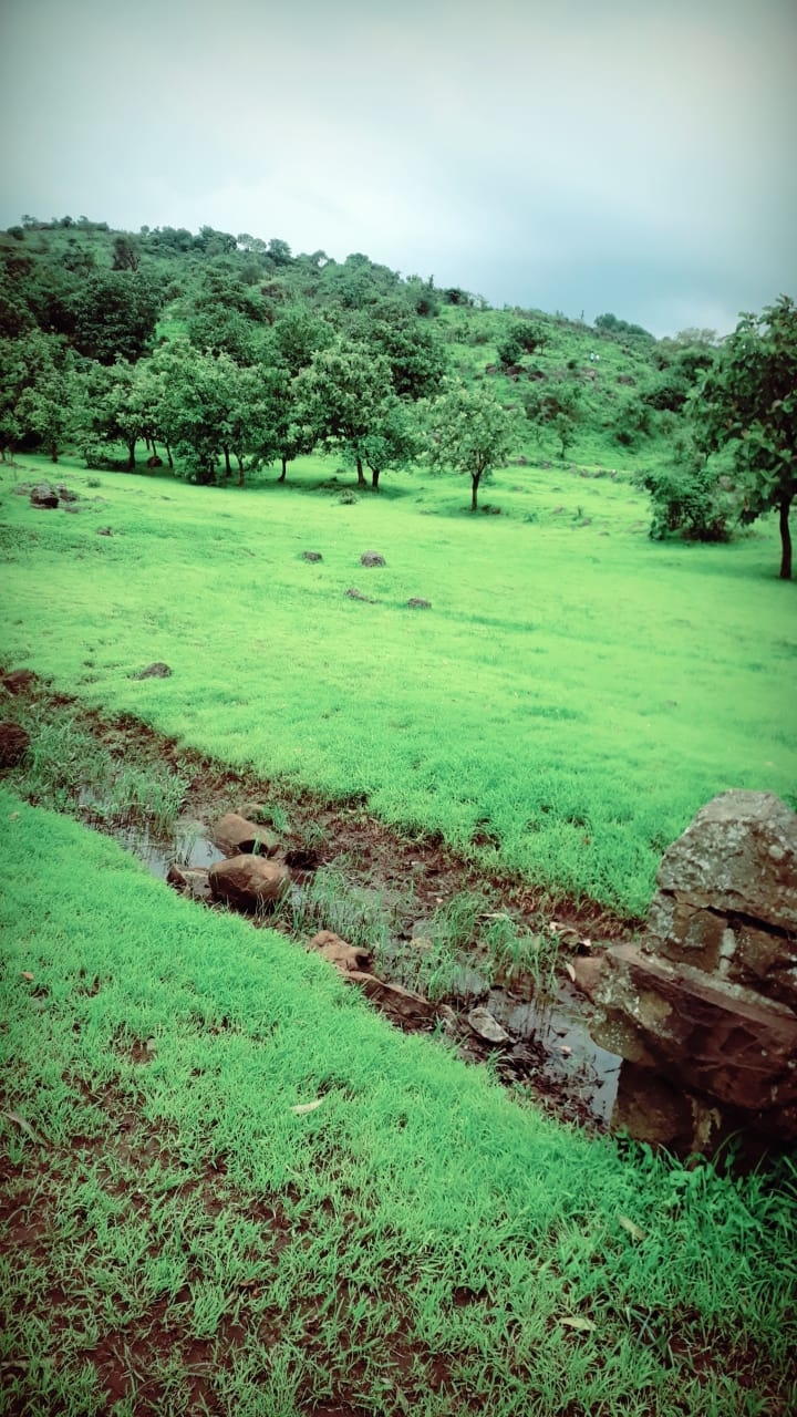 Green lands.