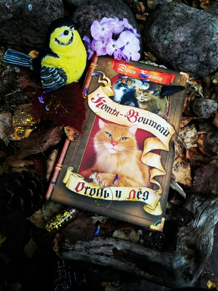 Коты воители