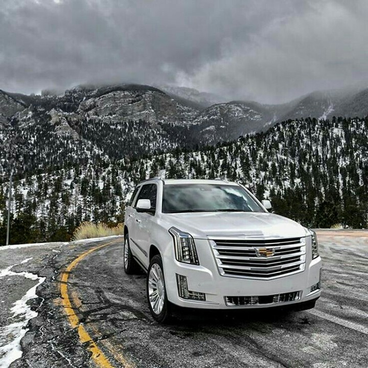 ،