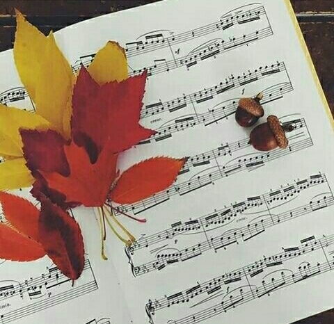 notas