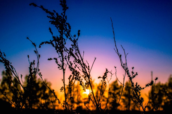 sunset