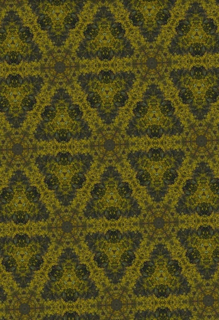 patterns